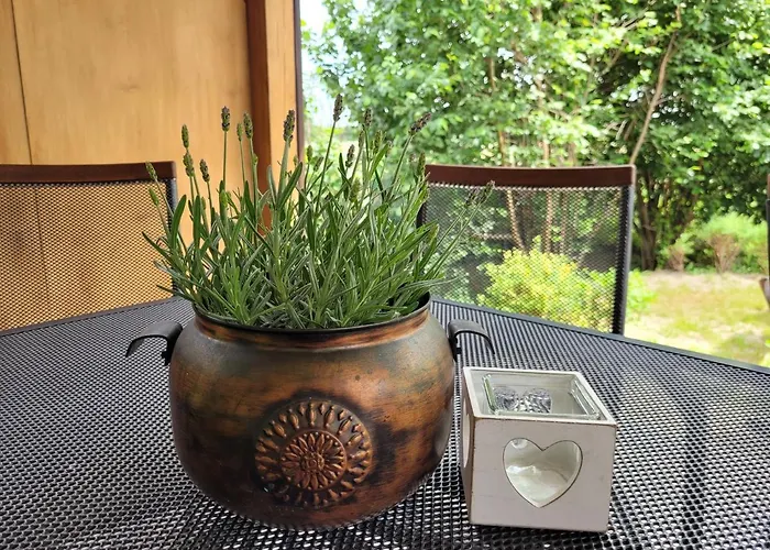 I Goscinne A A Malinowscy ستيغنا